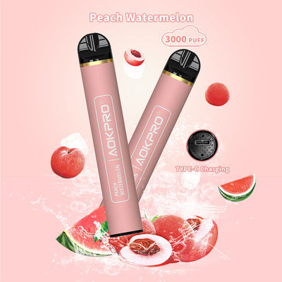 Carico di Vape TYPE-C del soffio di acciaio inossidabile Mesh Coil Disposable 3000